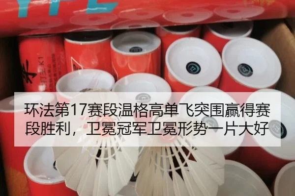 huan-fa-di-sai-duan-wen-ge-gao-dan-fei-tu-wei-ying-de-sai-duan-sheng-li-wei-mian-guan-jun-wei-mian-xing-shi-yi-pian-da-2-200.jpg