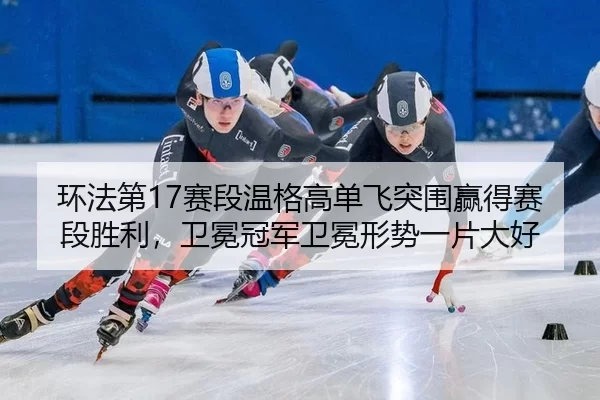 huan-fa-di-sai-duan-wen-ge-gao-dan-fei-tu-wei-ying-de-sai-duan-sheng-li-wei-mian-guan-jun-wei-mian-xing-shi-yi-pian-da-3-948.jpg
