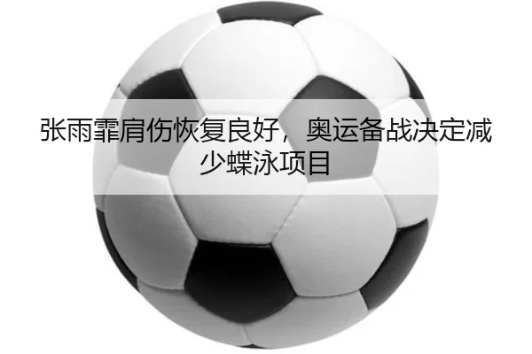 zhang-yu-fei-jian-shang-hui-fu-liang-hao-ao-yun-bei-zhan-jue-ding-jian-shao-die-yong-xiang-mu-3-226.jpg